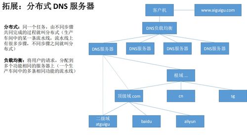 Linux云計算網(wǎng)絡(luò)服務(wù)基石 DNS域名系統(tǒng)解析與軟件定義部署